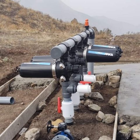 441577511_876707041136845_4096032745379370389_n