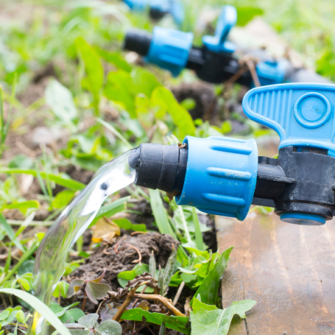 Portadas para Webs 2024 (35)